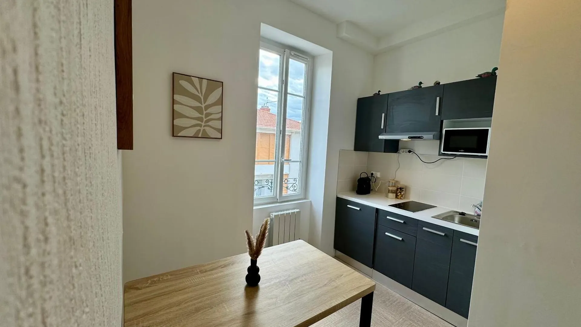 Suite Camiz Villeurbanne