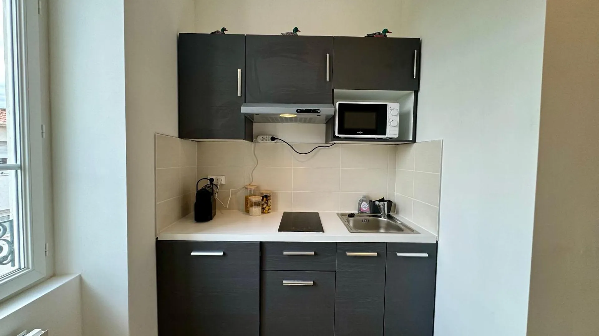 Apartment Suite Camiz Villeurbanne France