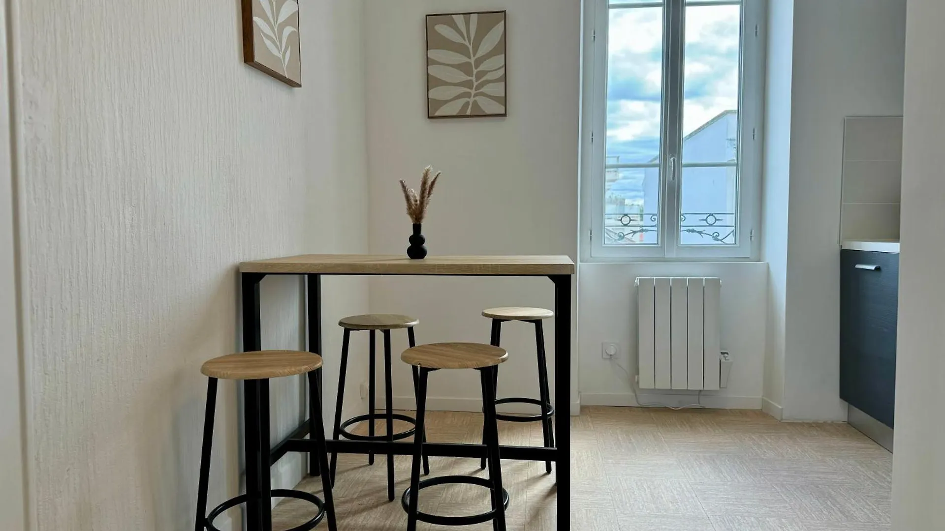 Apartment Suite Camiz Villeurbanne France
